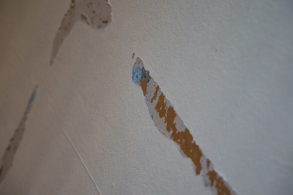 Water Extraction service in Sioux Falls, SD